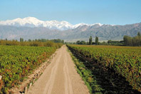 Rafting Mendoza river - Adventure trek at Aconcagua, hiking & rafting with Patagonia Adventure Trip at Mendoza, Argentina