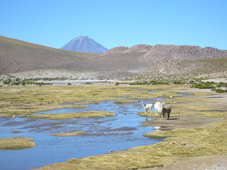Atacama - Atacama,  Quebrada de Humahuaca and Patagonia, hiking with Patagonia Adventure Trip at Chile and Argentina