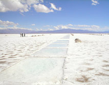 Salinas Grandes - Hiking Patagonia Atacama & Quebrada de Humahuaca with Patagonia Adventure Trip at Chile & Argentina