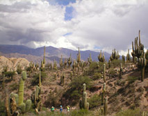 Quebrada de Humahuaca - Adventure to Atacama and La Quebrada de Humahuaca, trekking with Patagonia Adventure Trip at North of Chile and Argentina