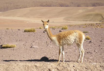 Trip to Quebrada de Humahuaca, hiking with Patagonia Adventure Trip at North of Argentina