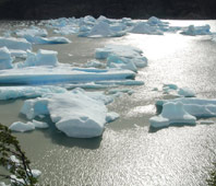 Grey Glacier - Patagonia Adventure Trip: Outdoor travel trekking 
Patagonia - Torres del Paine Trek, Chile